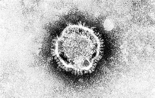 “新型肺炎时期”，如何自我防护？