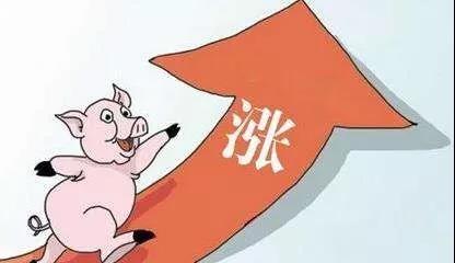 1575424821271100.jpg 1.jpg